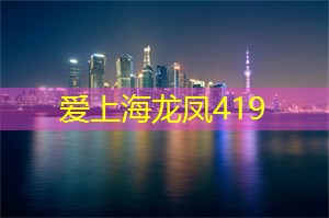 记录茶的旅程:上海茶庄的日常 记录茶的旅程:上海茶庄的日常